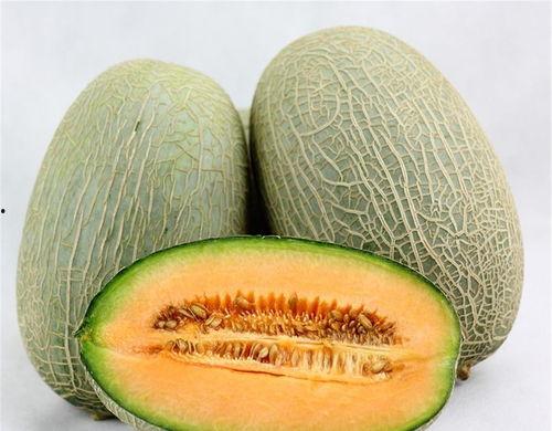 鹅吃哈密瓜视频大全下载,趣味视频大全下载攻略