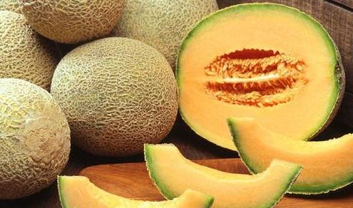 鹅吃哈密瓜视频大全下载,趣味视频大全下载攻略