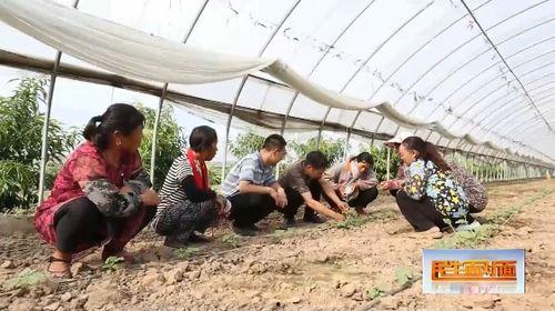 吃瓜手账简单怎么做视频,简单三步打造趣味短视频