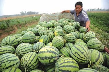 卖楼吃瓜视频,揭秘楼市背后的真实故事