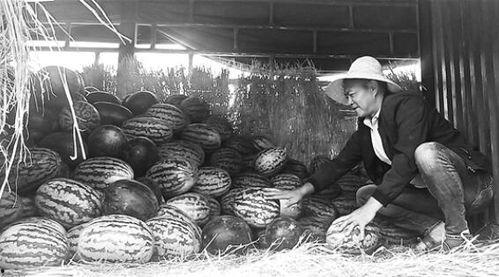 庄河吃瓜群众事件视频