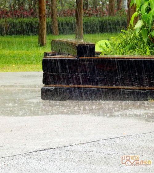 吃瓜少女未煮饭视频下载,轻松获取热门内容