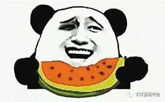 沙雕动漫吃瓜群众视频大全,吃瓜群众视频大全盘点