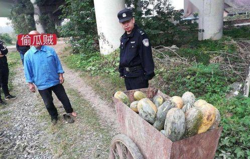 丛台公园吃瓜事件视频完整版,视频完整版揭露惊人真相