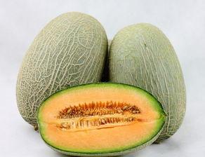 老三吃哈密瓜视频,甜蜜滋味，共享欢乐时光