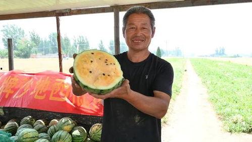 成都副区长吃瓜视频最新,一幕引发公众关注与反思