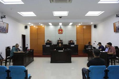 法院庭审吃瓜事件视频,视频曝光法庭奇观瞬间