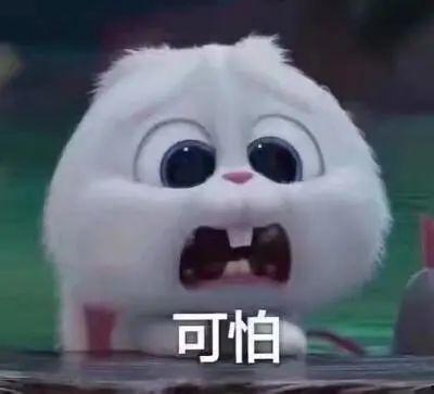 吃坏瓜中毒视频大全集免费观看,免费观看吃坏瓜中毒视频大全集