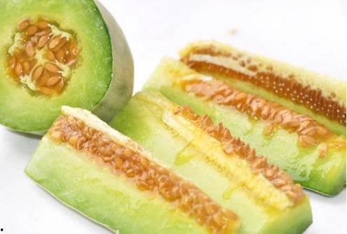 小兔子吃羊角蜜瓜视频,羊角蜜瓜美食之旅