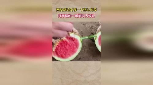 吃瓜让人心疼的视频,那些让人心疼的吃瓜瞬间