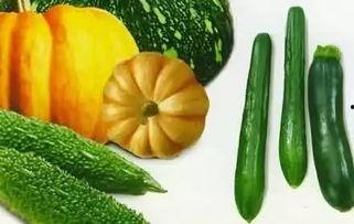 吃瓜的四个视频怎么拍的,四部热门作品拍摄幕后揭秘