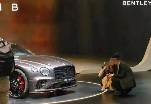 女销售宾利吃瓜视频大全,揭秘豪车圈幕后趣闻