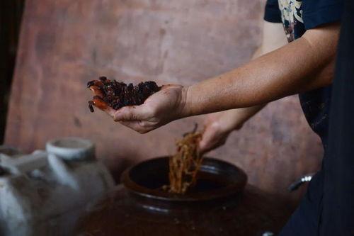 古代人喝茶吃瓜视频大全,古风茶话会，品茗赏瓜视频集锦