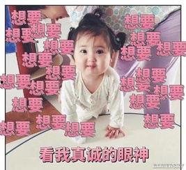 吵架吃瓜视频粤语,一场舌尖上的“战争”