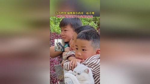 吵架吃瓜视频粤语,一场舌尖上的“战争”