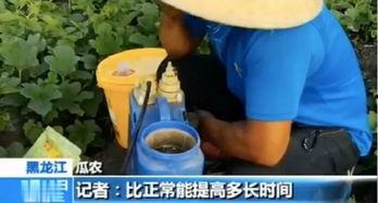 买吃瓜视频犯法吗,法律边界与道德考量