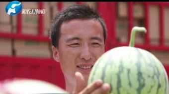 瀚林府吃瓜视频在线观看,揭秘宫廷秘闻，带你领略宫廷生活百态