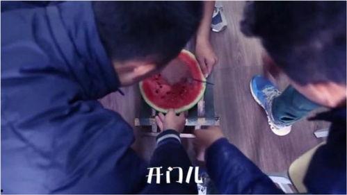 吃瓜爆笑段子视频下载,欢乐无限