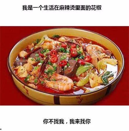 爱情麻辣烫吃瓜视频全集,吃瓜视频全集揭秘，情感纠葛大揭秘