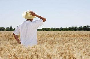 农民吃瓜的视频素材,农民吃瓜视频展现丰收喜悦