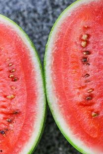 小陈吃瓜吐籽视频大全下载