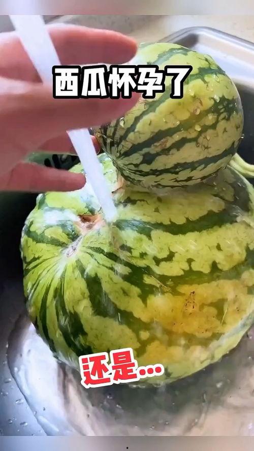 吃瓜吃菜搞笑视频,笑料横生！吃瓜吃菜搞笑视频大盘点